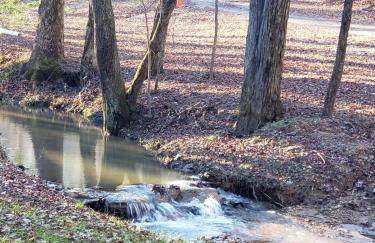 Escape to Villa Serena family & pet-friendly mountain retreat - hidden speakeasy, fire pit - Foto 76