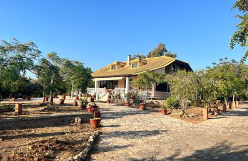 Proti Mare Villa by Toffee Homes - Photo 36