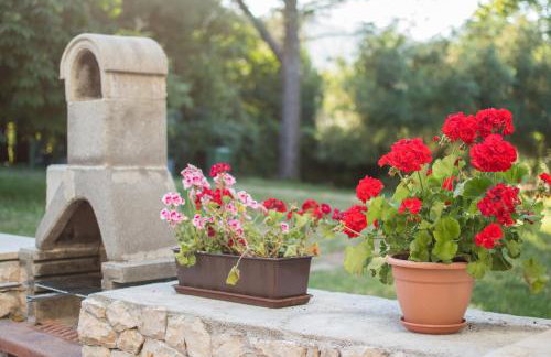 House Bruno - Foto 18