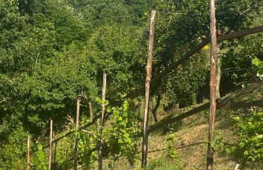 Villa Maremonti - con 3 piscine - Foto 14