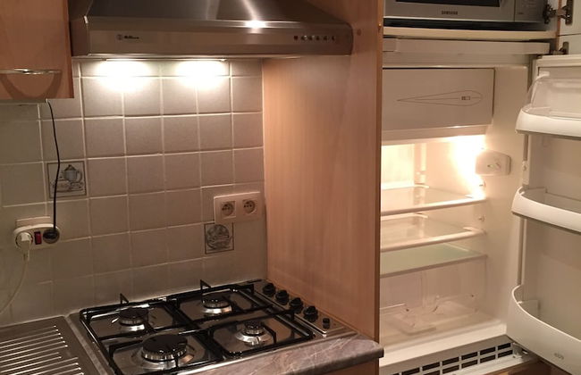 Residence la Fraisiere - Foto 46