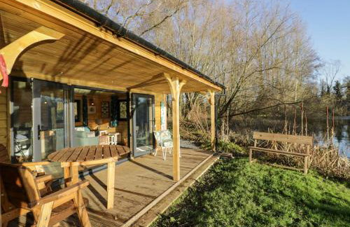 Kingfisher - Foto 14