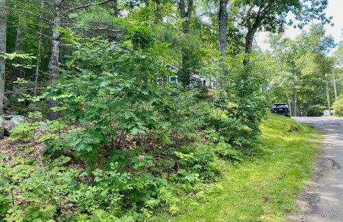 Cheerful Cottage Close to Everything 13 - Foto 14