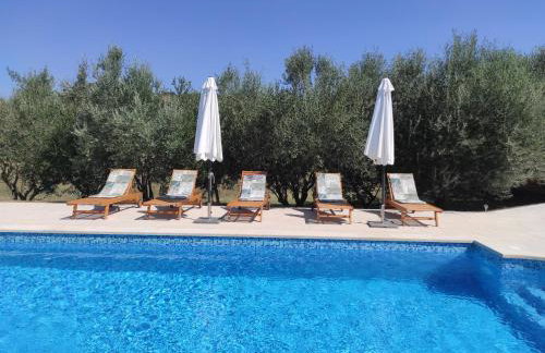 Villa Dorina - Foto 45