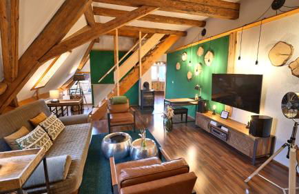 Green Loft Schwarzwald - Dach-Balkon--Musik-Ecke - Foto 10