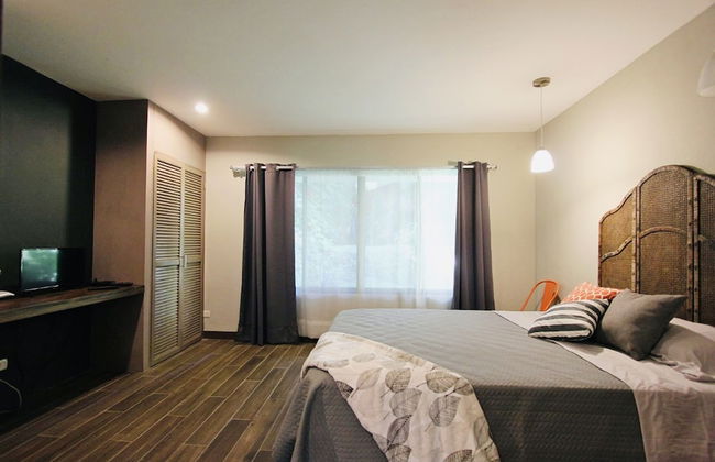 Relaxing Sound of River Birds Squirrels - Foto 8