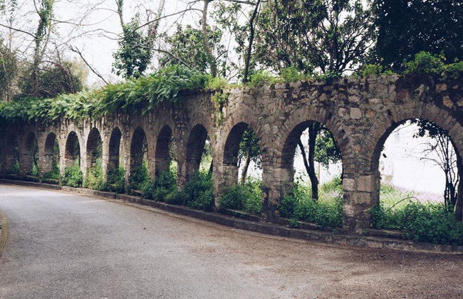 Entdecke Pontikonisi, Mon Repos, Achilleion & schwimme am Marathias Strand – Tagestour - Foto 5