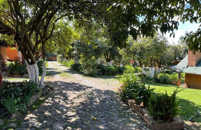 Cabañas La Huerta - Foto 12