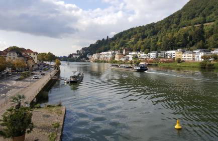 Ferienwohnung Sonja Sinsheim - Foto 42