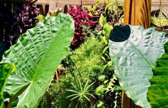 Casa Preguiça Corumbau - Photo 34