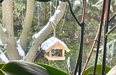 Uroczy dom i bezpłatny parking - Foto 21