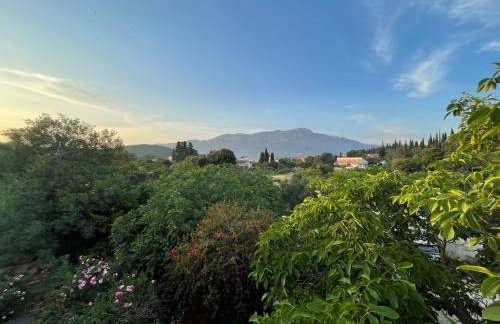 Modern Urban Oasis - Korčula - Photo 17