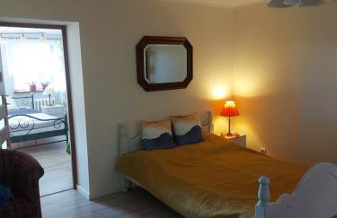 Ogród Pałacowy - Foto 14