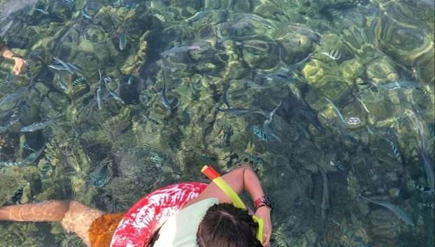 Snorkelling + Kayaking in Koh Samui Islands - Photo 4