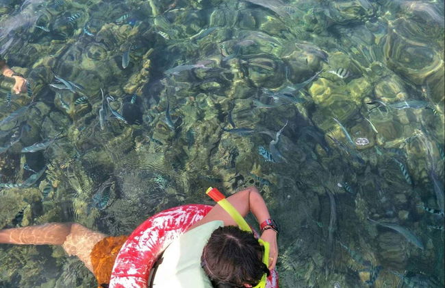 Snorkeling nell'isola di Koh Taen - Foto 4