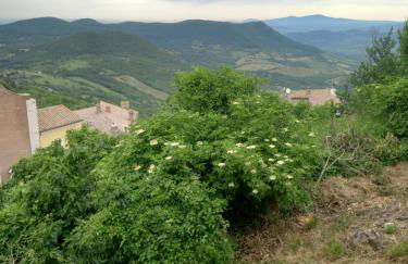 Autenticum Agriturismo Tolfa - Foto 6