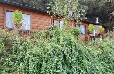 B-B Ranch Cottage~Heart of Gold Country~*HOT TUB* - Foto 69