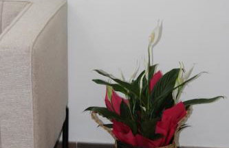 Eterea Apartment - Foto 4