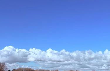 The Old Smithy - Photo 36