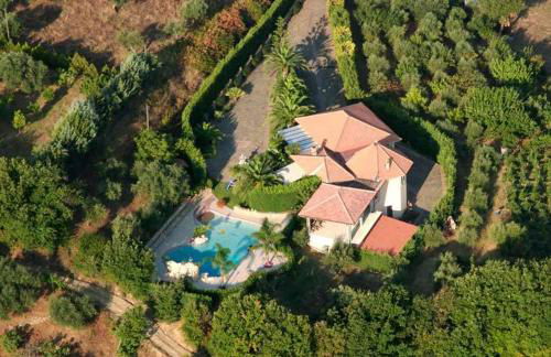 Residence Villa Rosi - Foto 39