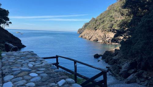 San Fruttuoso Amazing Cottage - Foto 4