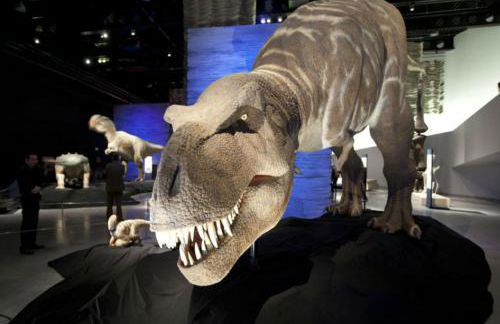 Casa del Beso - Photo 59