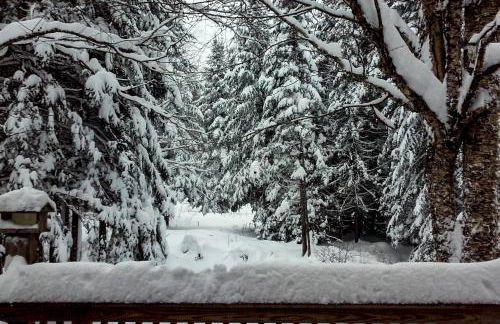 Maine Attraction - Foto 21