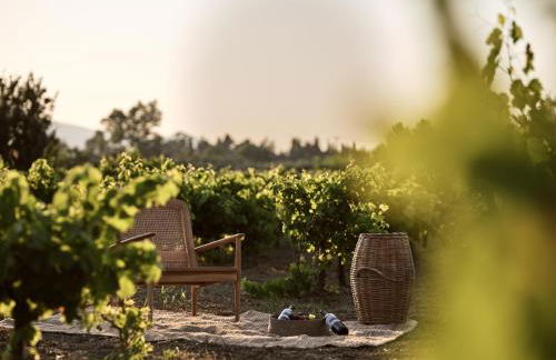 Uvetta Villas - Foto 41