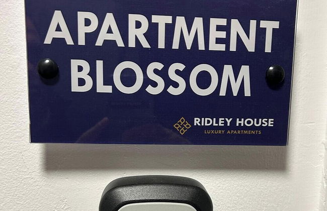 Ridley House Apartments - Photo 27