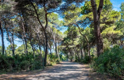 La casa di Bebe - Foto 28