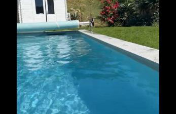 U Giardinu T2 vue mer avec jardin clos - Foto 15