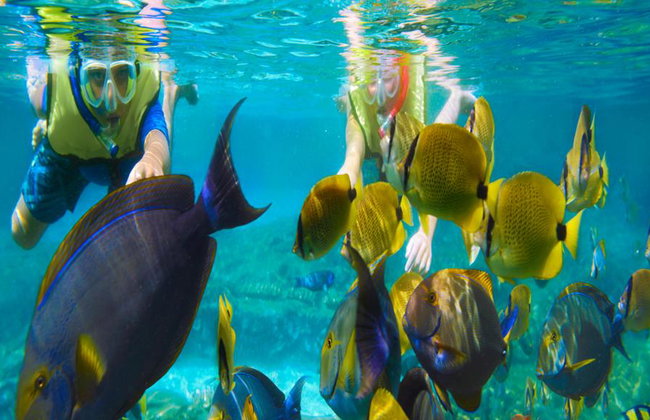 Ixtapa Island: A Family Paradise - Photo 6