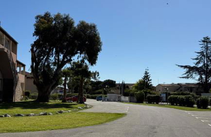 Appartement 2 pièces bord de mer - Foto 28