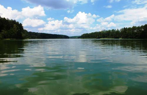 Sumówko Leśne Siedlisko - Foto 14