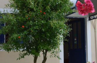 Anesis Village Studios and Apartments - Foto 26