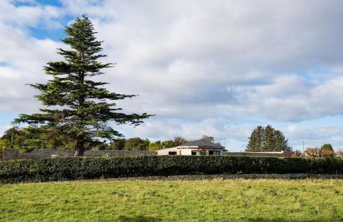 The Treehouse - Foto 28