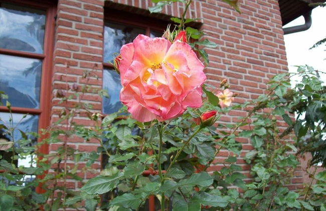 Holiday Apartment Kirchhoff - Foto 32