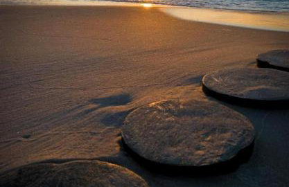 Casa Luisa - Trzęsacz - Foto 50