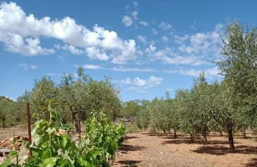 Mas En Calma - Foto 24