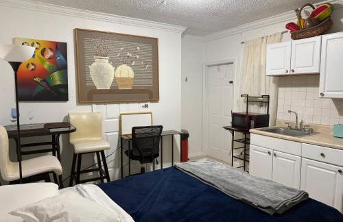 My Garden in Miami Florida - Photo 10