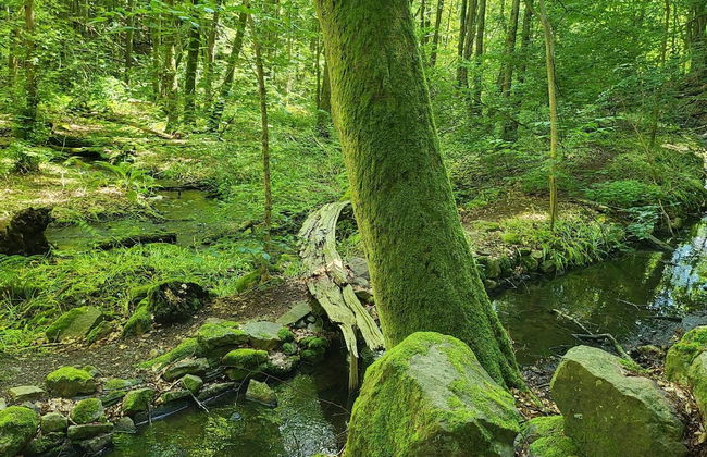 4 Star Holiday Home in Garsnas - Foto 7