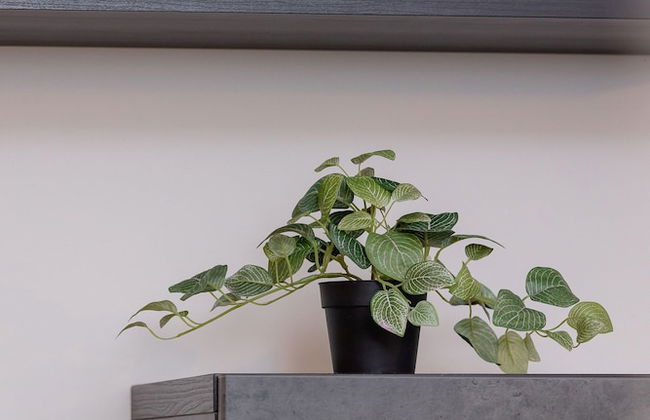 Apartment With Garden by Renters - Photo 41