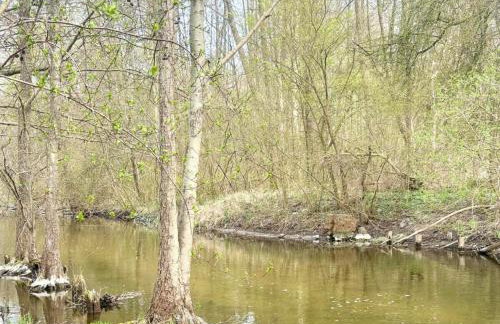 Domek nad Paklicą - Foto 23