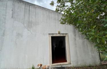 Santuário SOS Animal - Foto 43