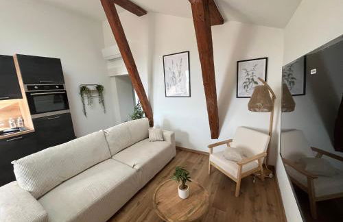 Louis XIII, Le Somail. - Foto 48