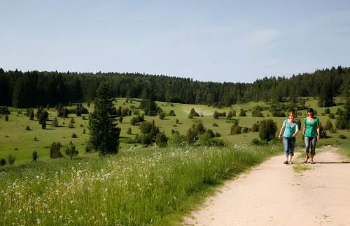 Ferienwohnungen Däubler - Foto 9