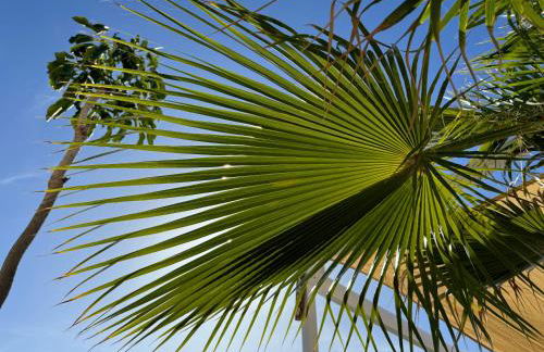 "El Ático Bonito"-Penthaus-Whirlpool-Atlantikblick - Photo 39