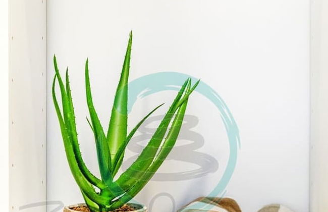 Zen Marina Bayview Balcony Executive Suite - Foto 16