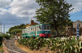 Il Limoneto di Leo - Foto 45
