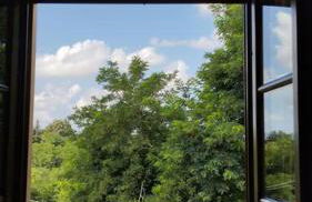 Il mondo magico - Immerso nella natura - - Foto 9